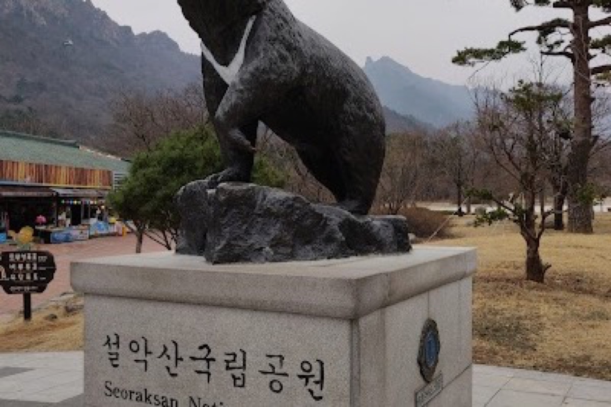 Seoraksan National Park granite peaks and forested valley with hiking trails near Sokcho