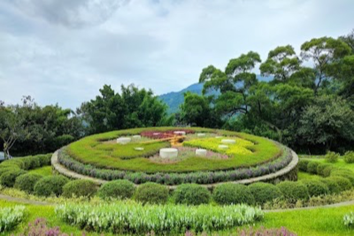 Yangmingshan National Park volcanic trails and cherry blossom trees near the visitor center in spring