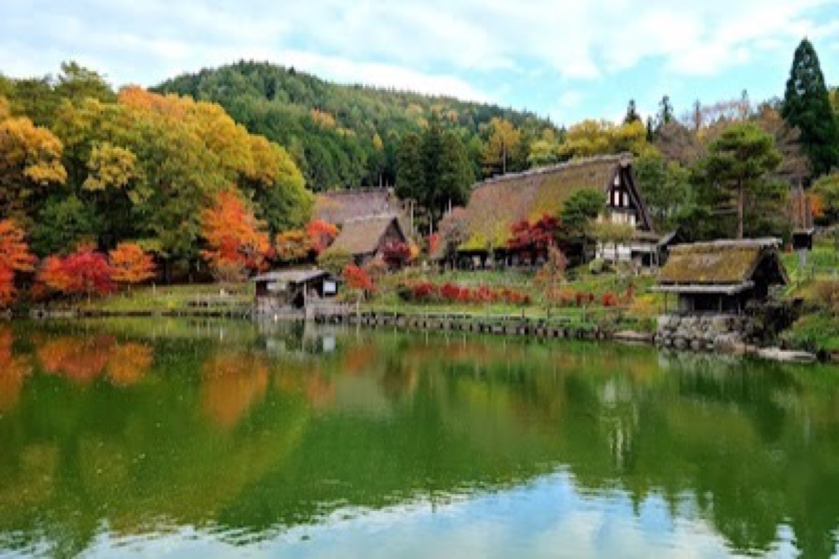 Gassho-zukuri thatched-roof farmhouses at Hida-no-Sato open-air museum beside Lake Miyagawa