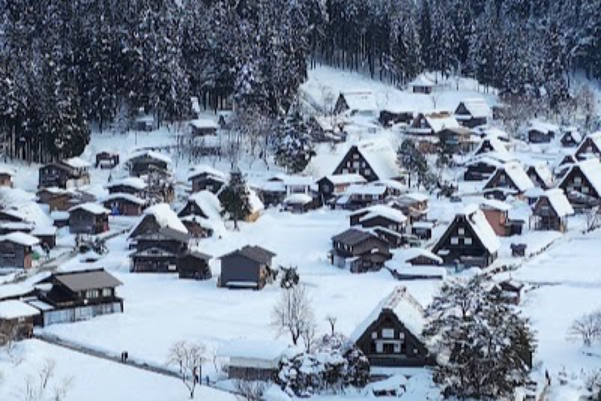 Shirakawa-go thatched-roof farmhouses viewed from the Shiroyama observation deck