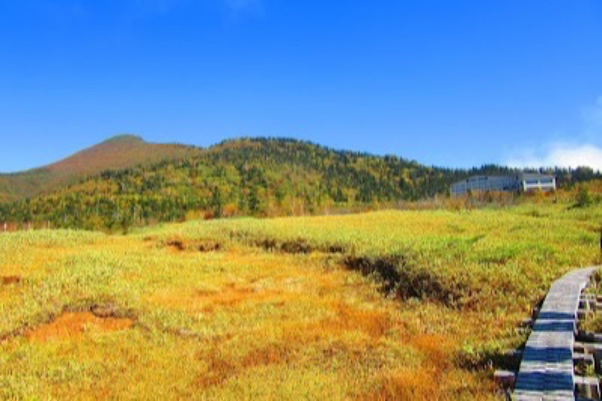 Midagahara Wetlands boardwalk trail across alpine marshland with Tateyama Mountain Range in the background