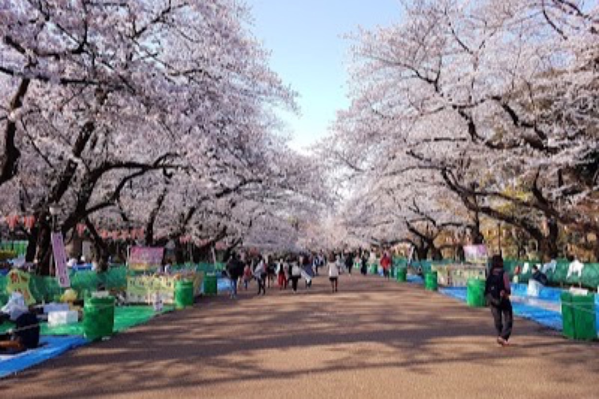 Ueno Park in Tokyo