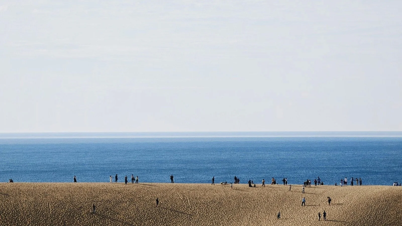 Coastal sand dunes with wind-sculpted ripples stretching toward the Sea of Japan in Tottori