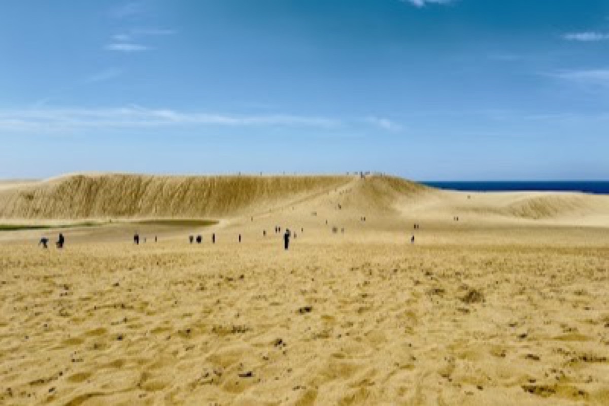 Wind-sculpted sand ripples stretching toward the Sea of Japan at the Tottori Sand Dunes