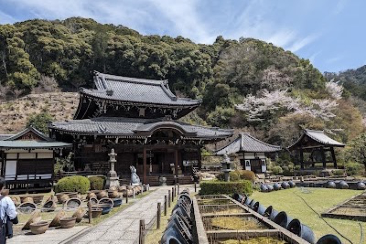 Mimurotoji Temple hilltop pagoda overlooking Uji with seasonal flower gardens