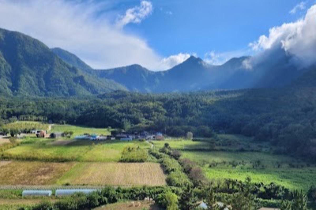 Nari Basin volcanic caldera with pit-house farms and wildflowers below Seonginbong on Ulleungdo