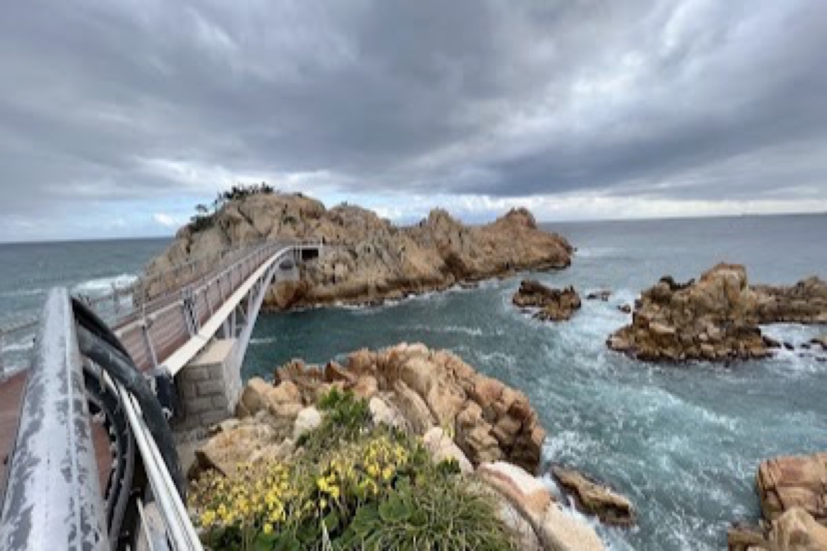 Daewangam Park pine forest boardwalk and iron bridge to dragon-shaped Daewangam Rock on Ulsan's coast