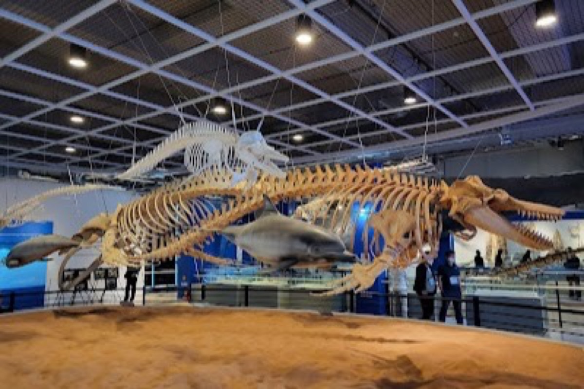 Jangsaengpo Whale Museum exhibits and maritime cultural village at Ulsan's historic whaling port