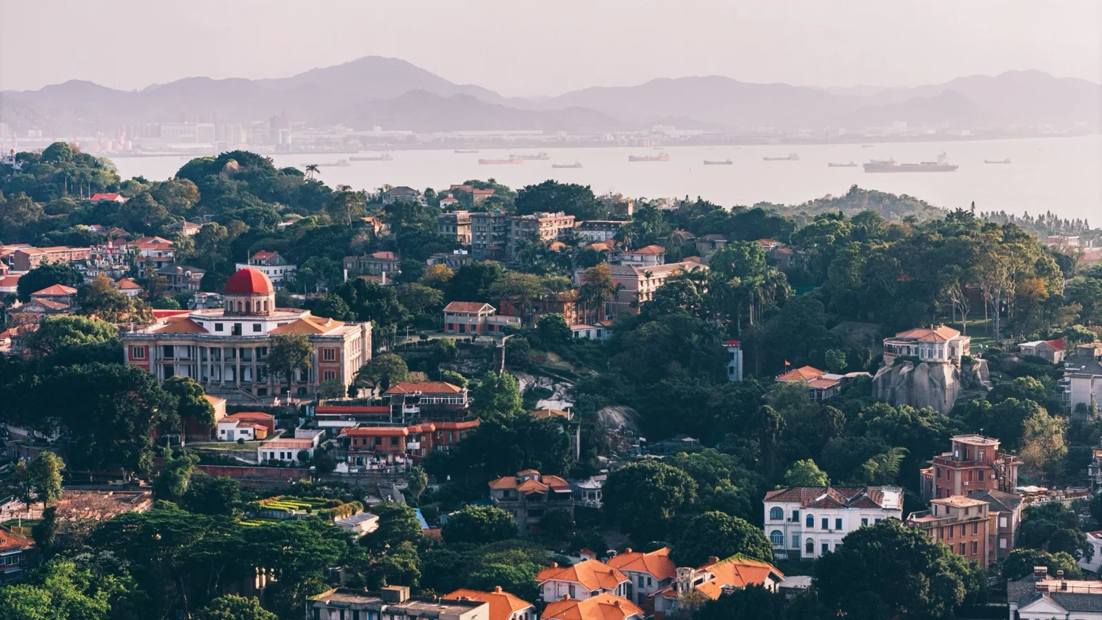 Coastal view across Lujiang Strait in Xiamen with Gulangyu Island's red rooftops and banyan trees in the foreground
