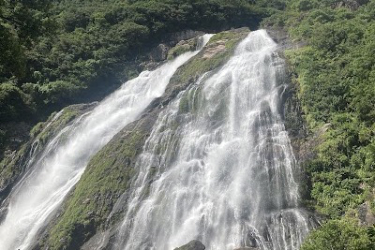 Ohko-no-taki Falls in Yakushima