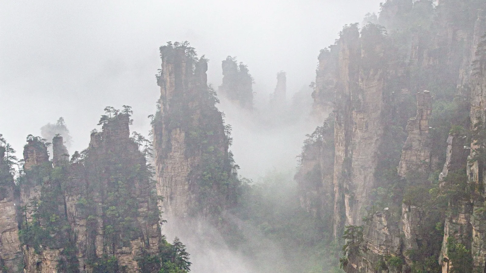 Autumn view of sandstone pillars rising above mist in Zhangjiajie National Forest Park